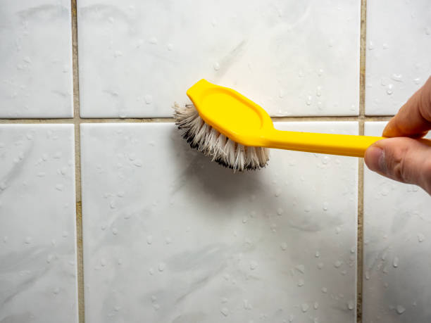 Best Affordable Mold Removal  in Belle Haven, VA