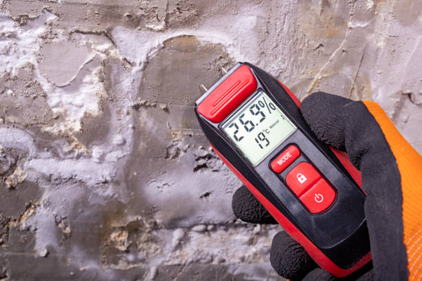 Best Water Damage Restoration  in Belle Haven, VA