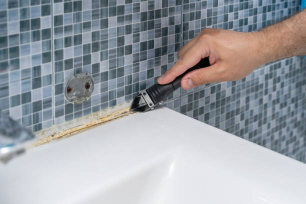 Mold Removal and Inspection in Belle Haven, VA