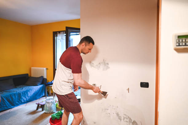Best Office Mold Removal Services  in Belle Haven, VA